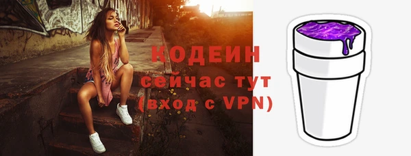 прущие грибы Касимов