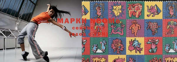 прущие грибы Касимов