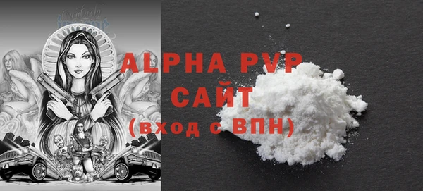 прущие грибы Касимов