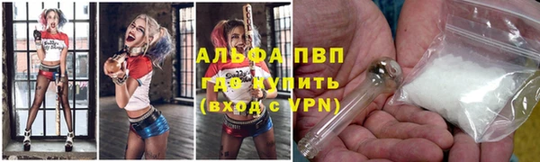 прущие грибы Касимов